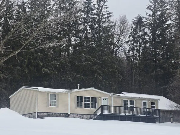 127 Hidden Acres Dr, Richfield Springs, NY 13439