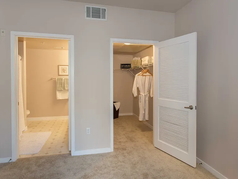Carpeted Bedroom with Walk-in Closet