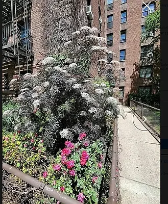 Rented by Queens Apartments Realty LLC | media 14