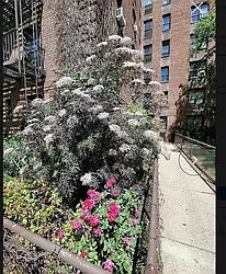 Rented by Queens Apartments Realty LLC