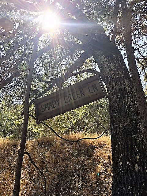 1st image of 1780 Shady Creek Ln
