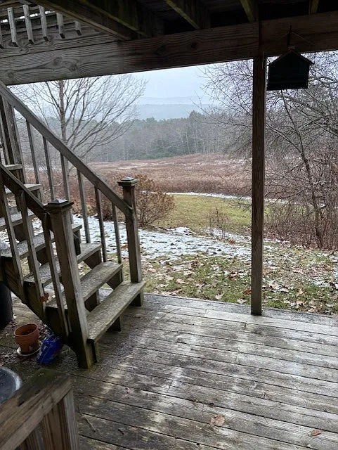 VIEW OF OUTSIDE DECK FROM DINING AREA