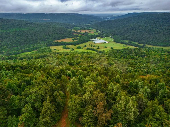 5.05 Bear Knob Ln, Crawford, TN 38554