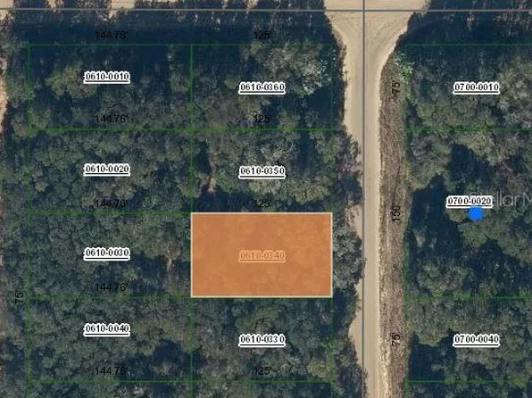 Annette Avenue Lot #34, Interlachen, FL 32148