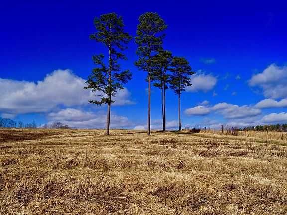 2nd image of 271 Anderson Rd