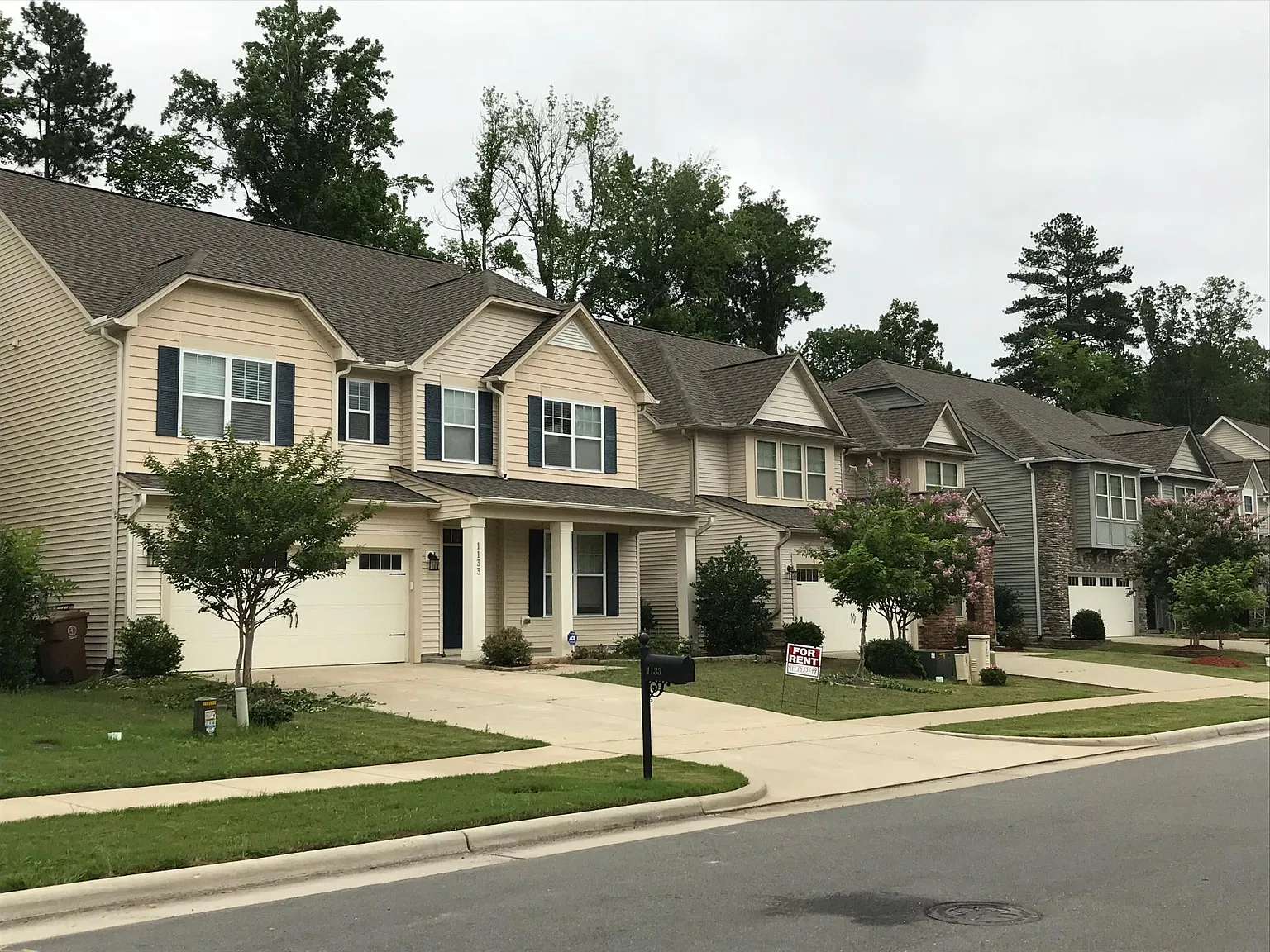 1133 Rosepine Drive — Photo 2