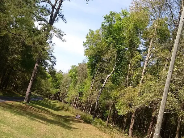 Virginia Lee Cir, Brooksville, FL 34602