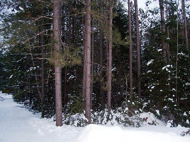 2nd image of Pine Point Rd