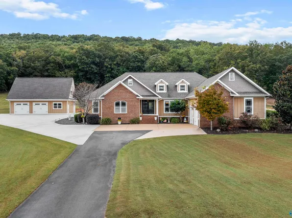 1061 County Road 622, Valley Head, AL 35989
