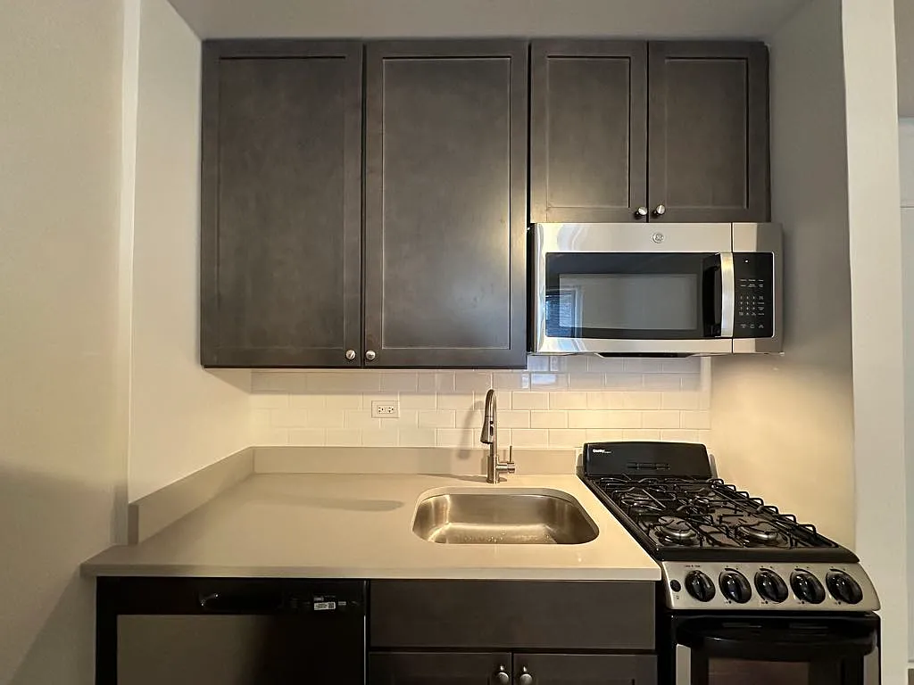 Appealing Studio, 1 Bath at Diversey + Milwaukee (Logan Square) — Photo 4