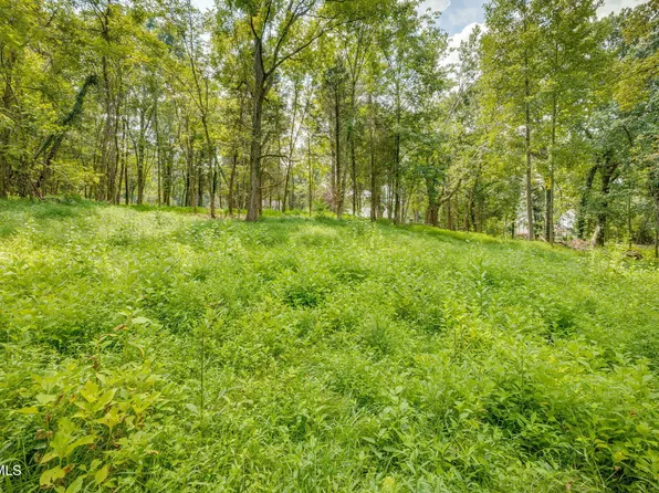 3634 Thornton Dr, Kingsport, TN 37664