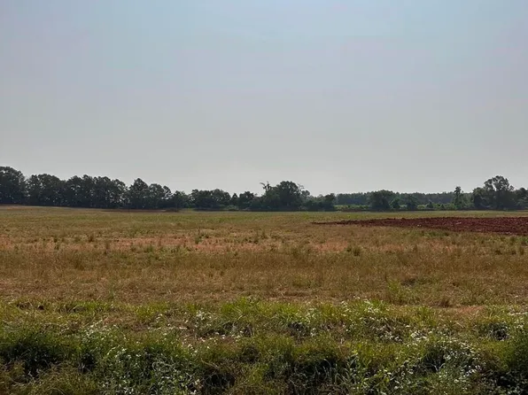 TRACT 55 Hays Mill Rd, Elkmont, AL 35620