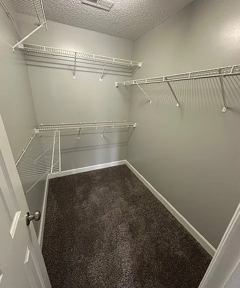 1793 Trier Dr — Photo 11