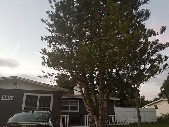 3rd image of 3818 Buckeye Cir