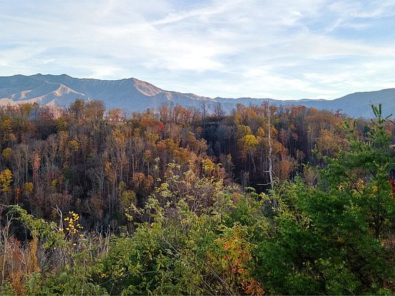 4th image of 851 Sourwood Dr Lot 273