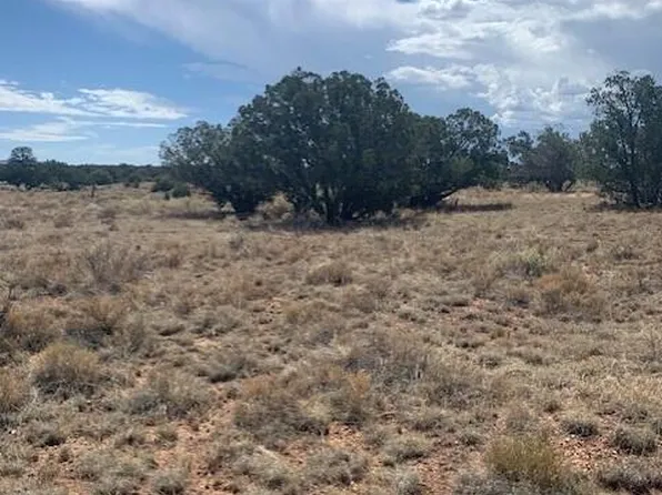 795 S Lodestar Dr #384, Williams, AZ 86046