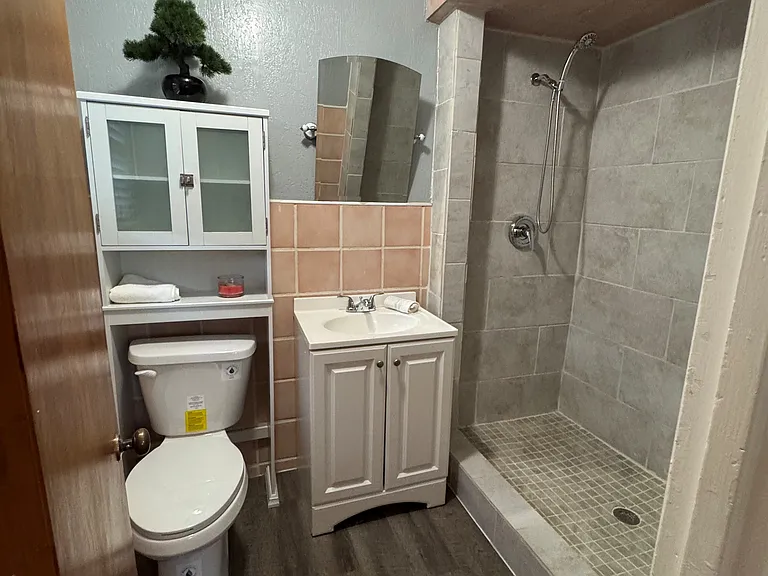Bath off primary bedroom has large shower