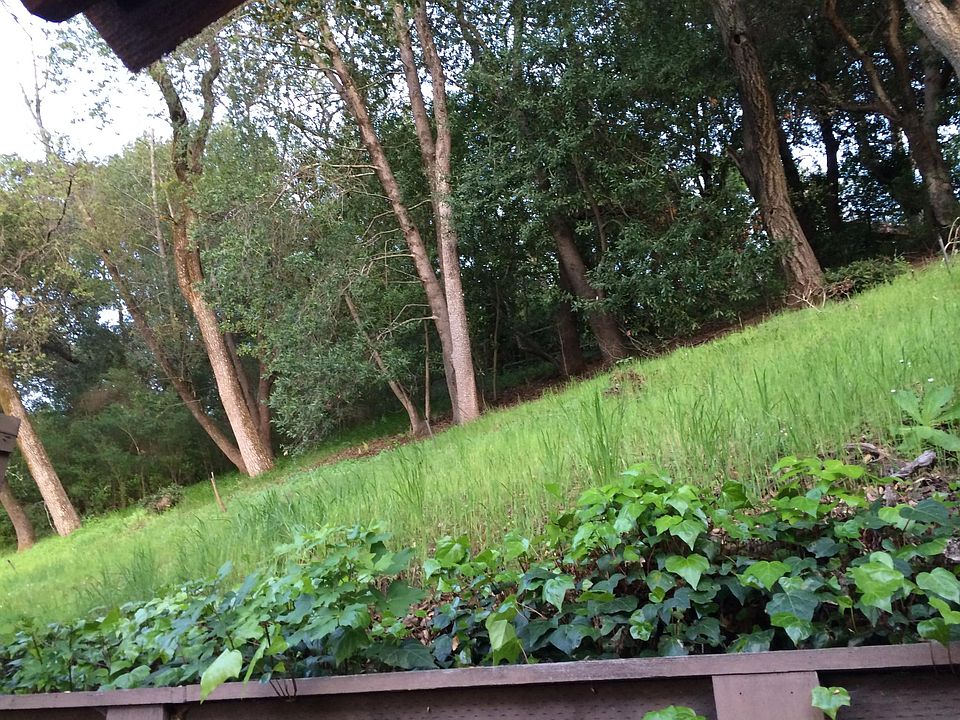 Driveway with 3/4 of land