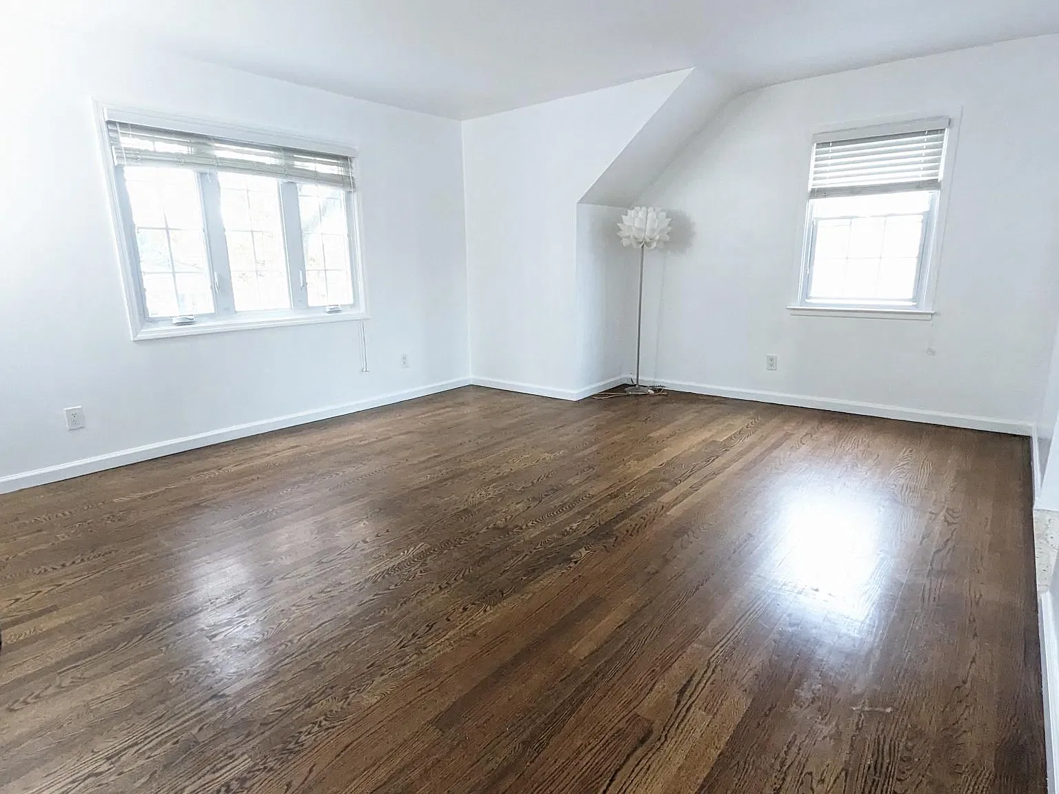 1 bed, 800 sqft, $2,100 — Photo 3