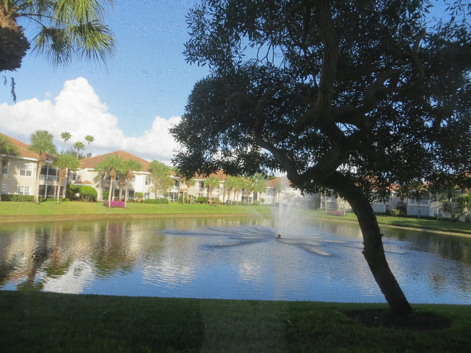 3 bed, 1863 sqft, $8,500 — Photo 2