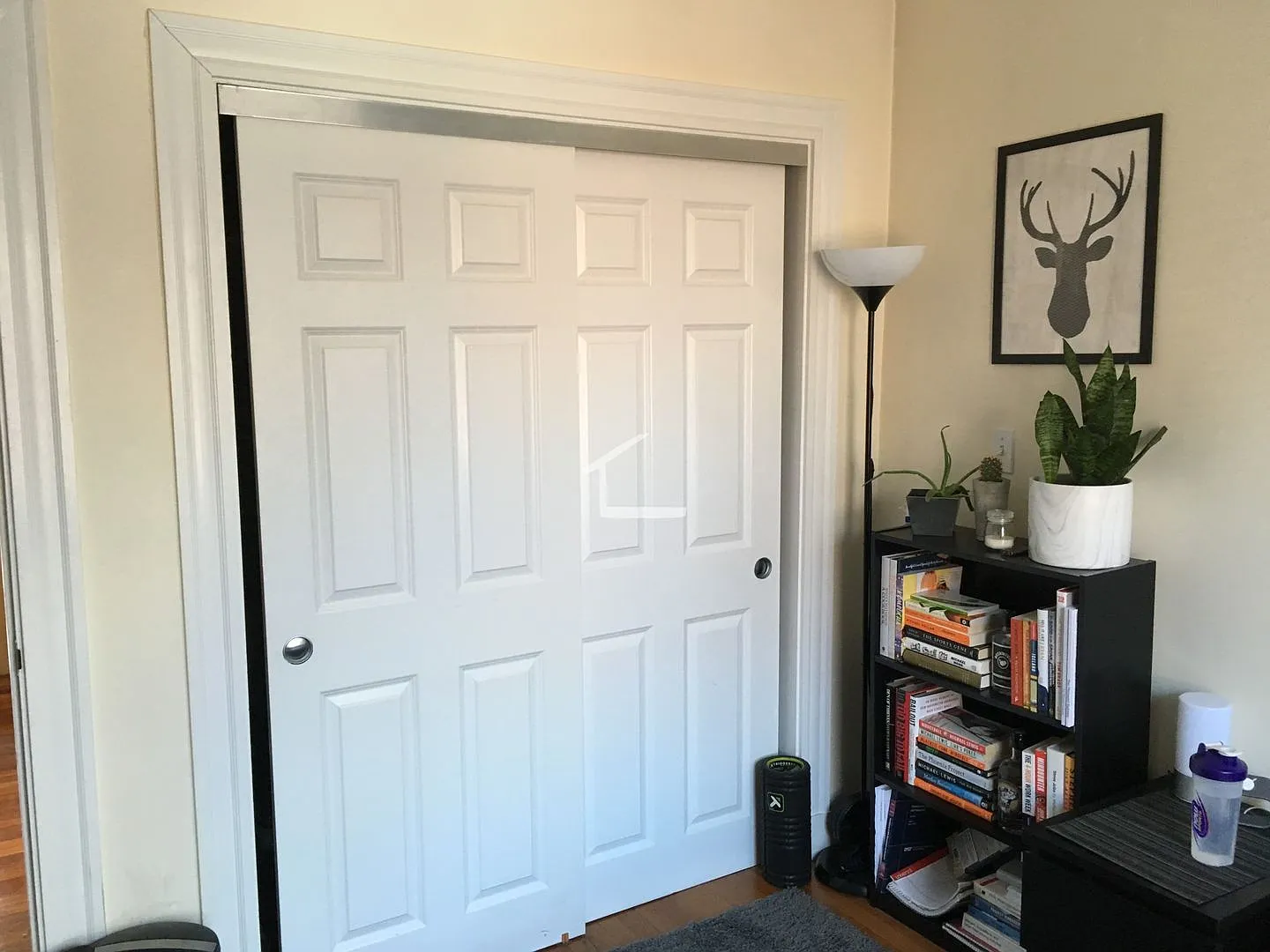 Well Lit 3 Bed — Photo 2