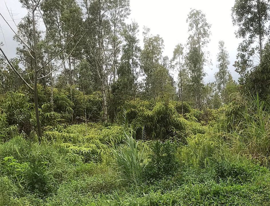 2nd image of Uhini Ana Rd #1-lot 2272