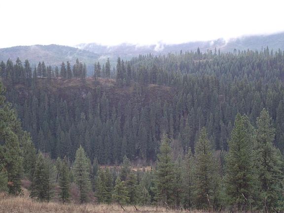 4th image of Nka River Way
