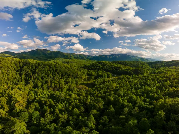 3963 Lindsey Gap Rd, Hartford, TN 37753