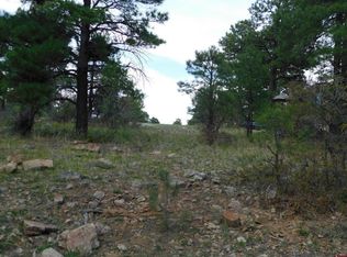 49 Masters Cir, Pagosa Springs, CO 81147