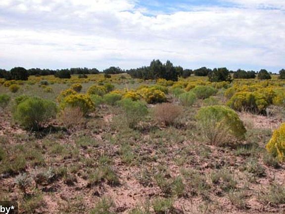 3rd image of 0 Ranch Rd Lot 127