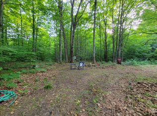 N Valley Rd, Frederic, MI 49733