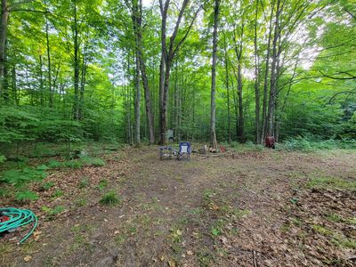 N Valley Rd, Frederic, MI, 49733