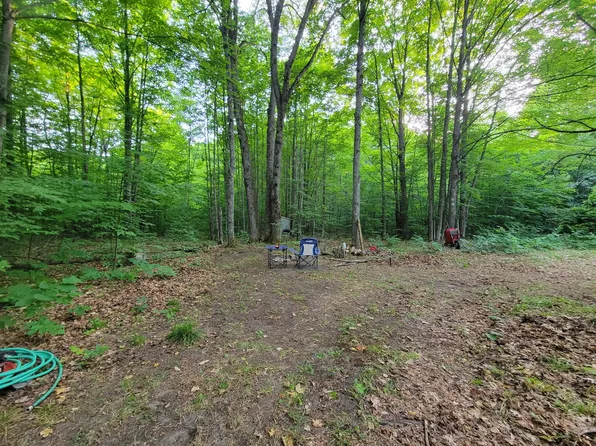 N Valley Rd, Frederic, MI 49733