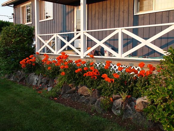 Beautiful in the summer