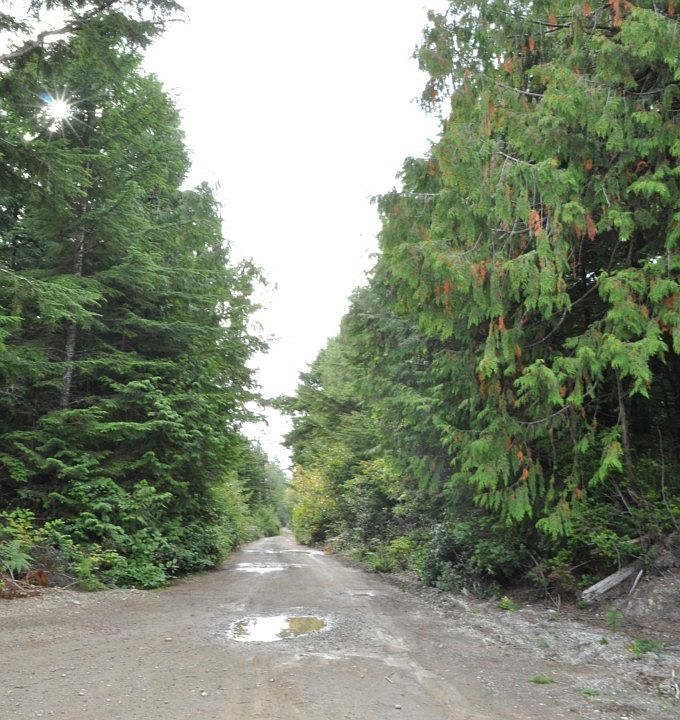 2nd image of 0 Second Street