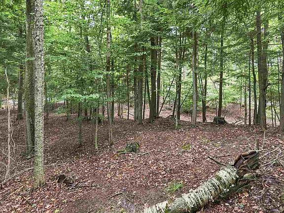 4th image of 1358 Timber Pass