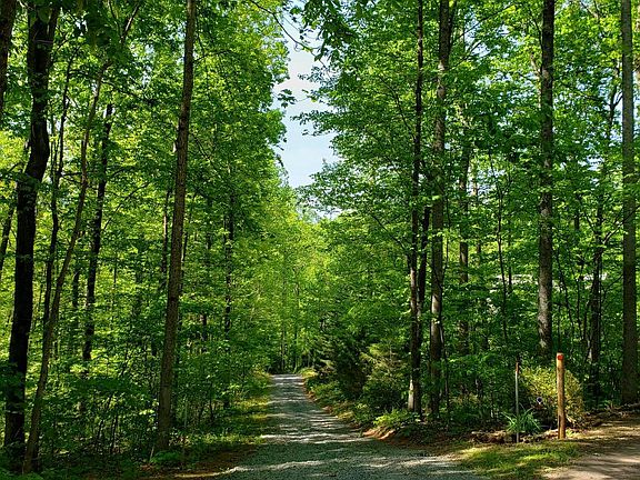 2nd image of Black Oak Dr