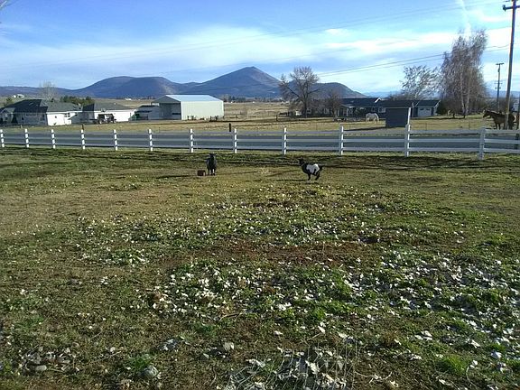 2.5 irrigated acres 
