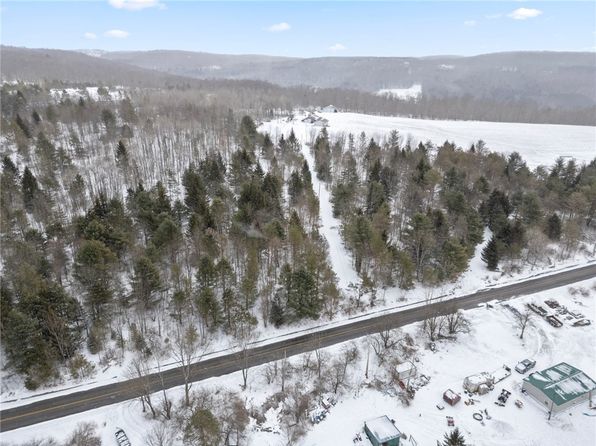 LOT 7B Blackman Hill Rd #13, Berkshire, NY 13736