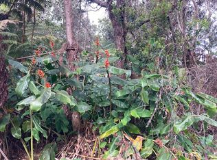 19-3950 Hoonanea St LOT 39, Volcano, HI 96785