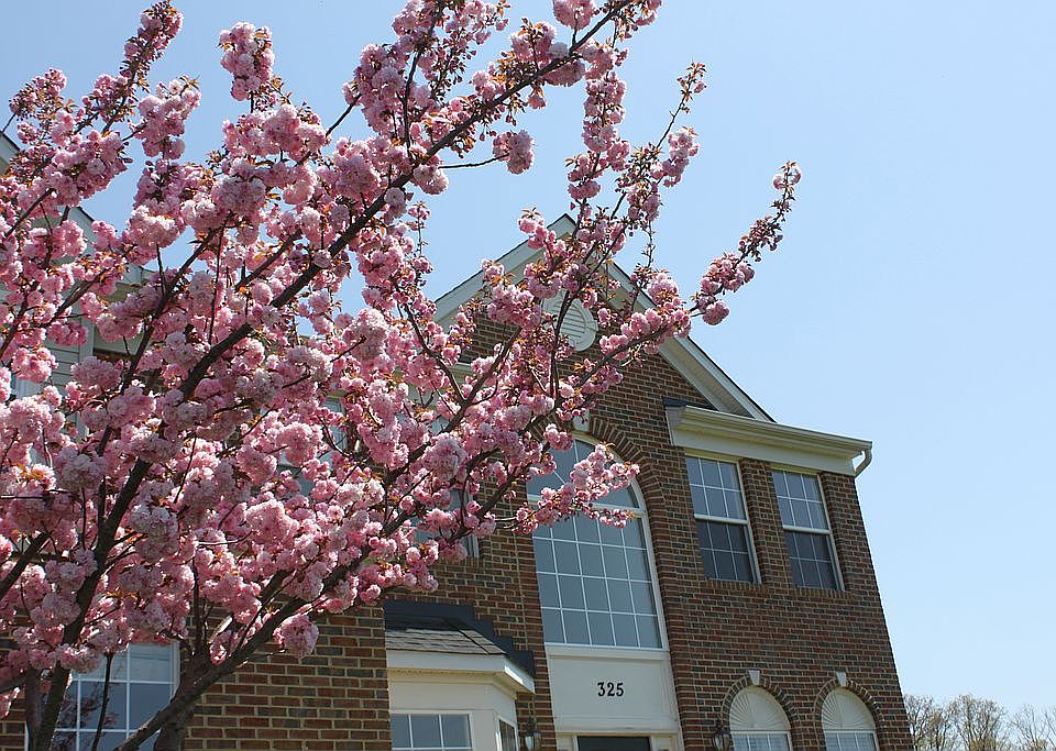 Beautiful blooms sprg/summr