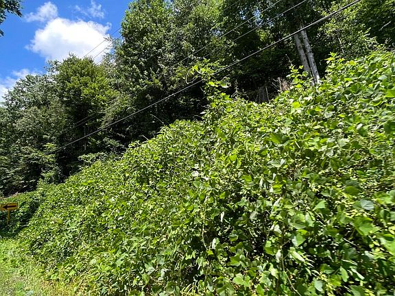 4th image of 1 Pittman Center Rd