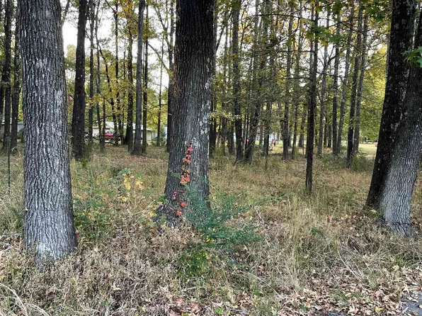 0 Walker St, Ward, AR 72176