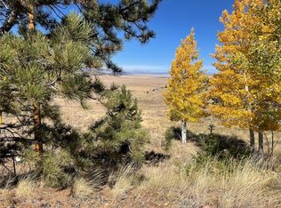 439 Corral Rd, Hartsel, CO 80449