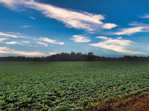 0 Township Road 114 Rd, Mount Gilead, OH 43338