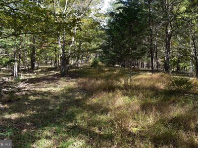 5 Private Ranch Rd, Romney, WV, 26757