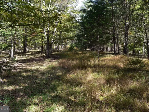 5 Private Ranch Rd, Romney, WV 26757