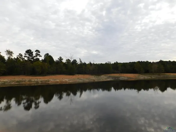 27 Forget Me Not Rd, Gilmer, TX 75644