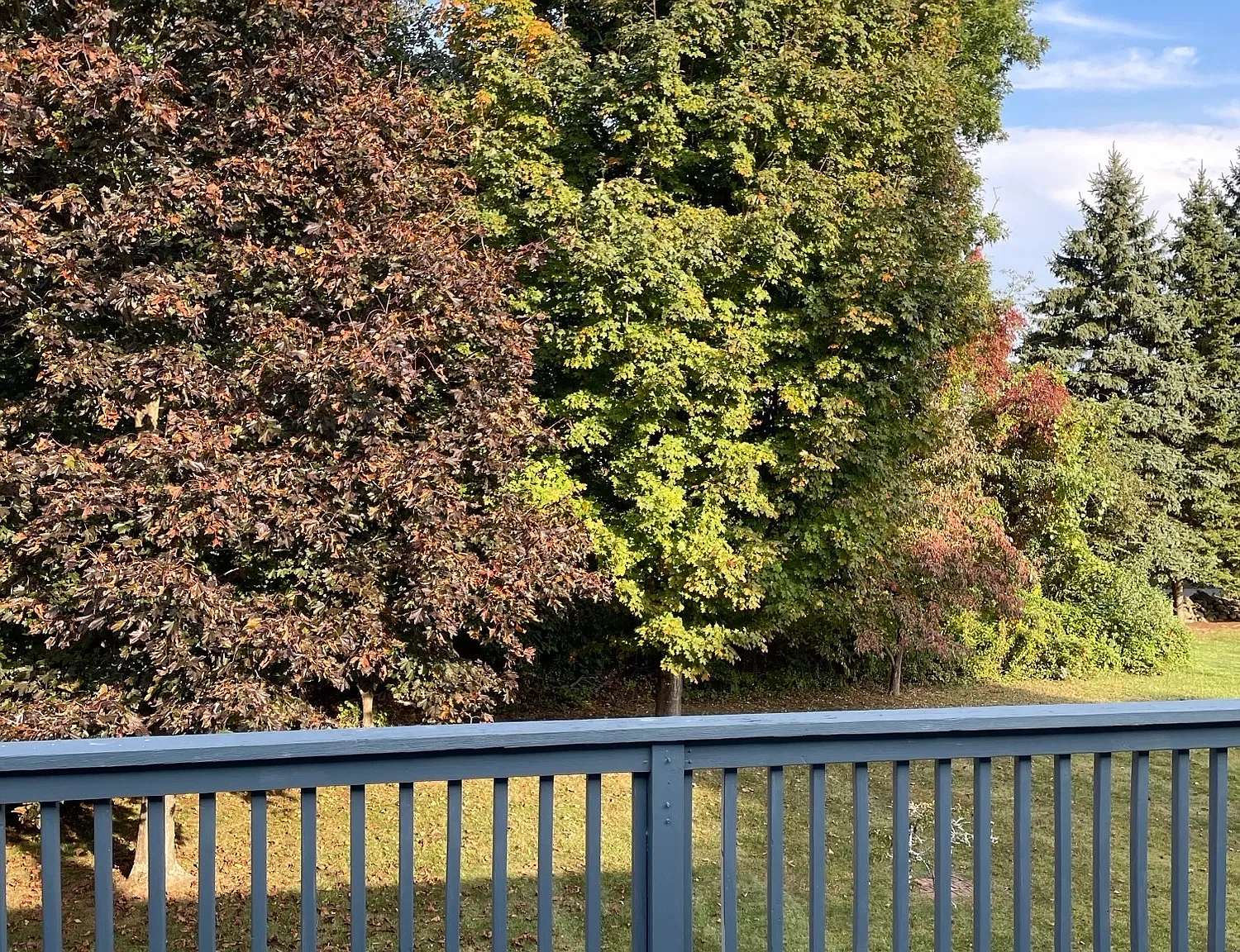 3 bed, 2.5 bath, 1888 sqft, $3,500 — Photo 3