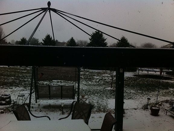 Gazebo on patio (new cvr inc